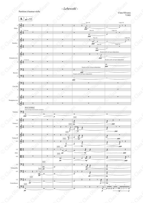 Primera página de la composición